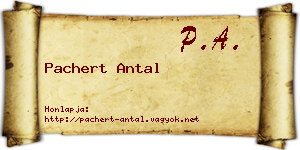Pachert Antal névjegykártya